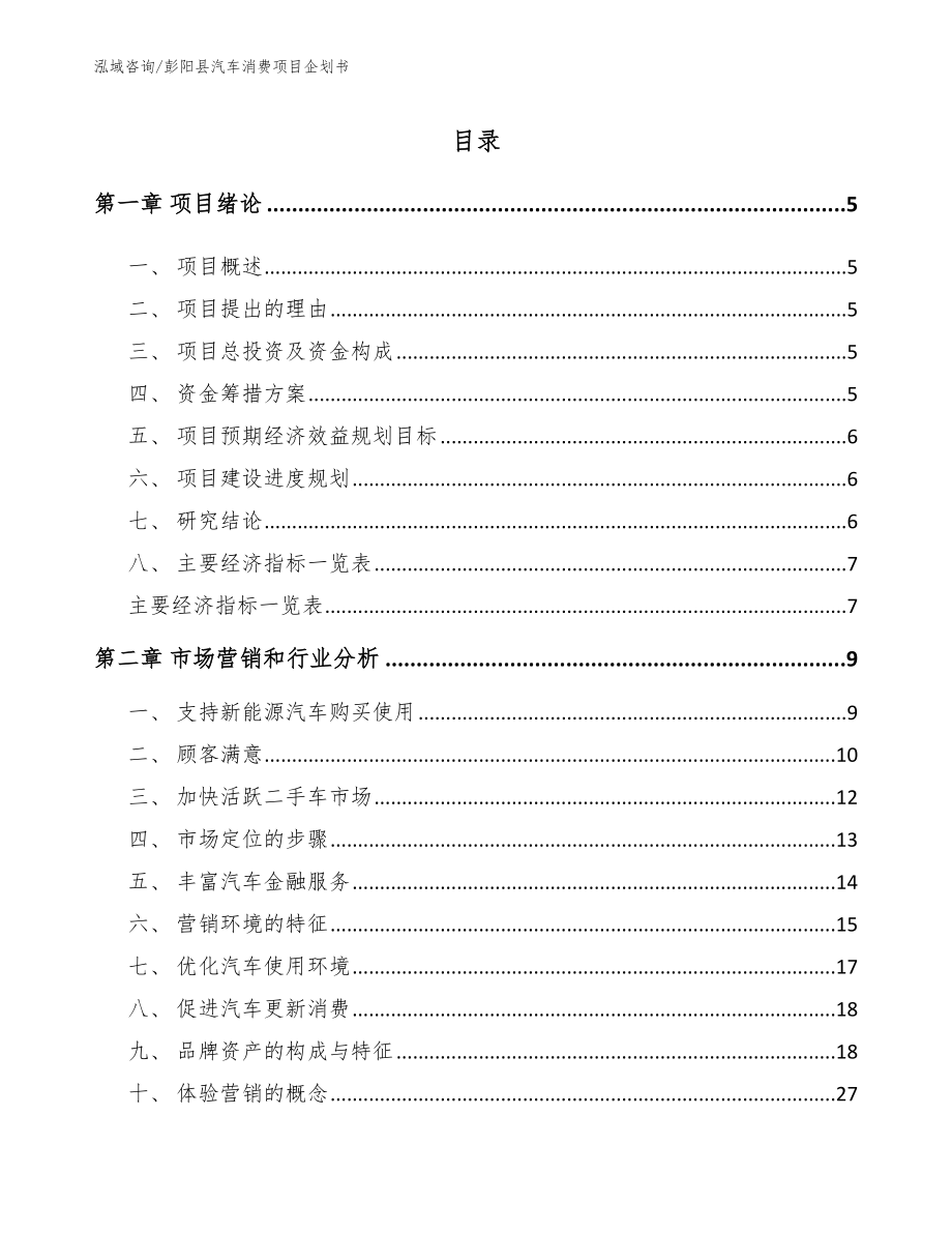 彭阳县汽车消费项目企划书模板_第1页