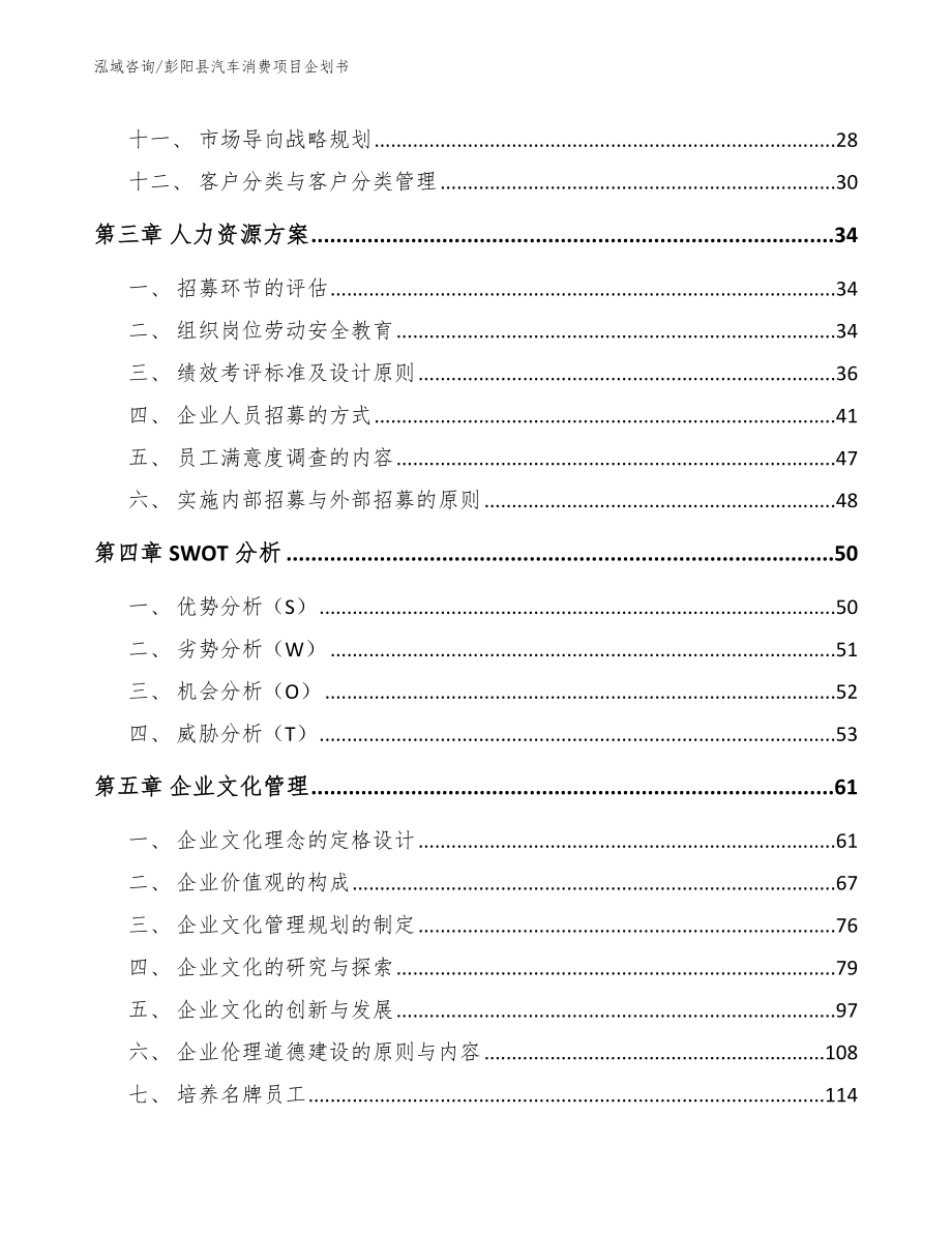 彭阳县汽车消费项目企划书模板_第2页