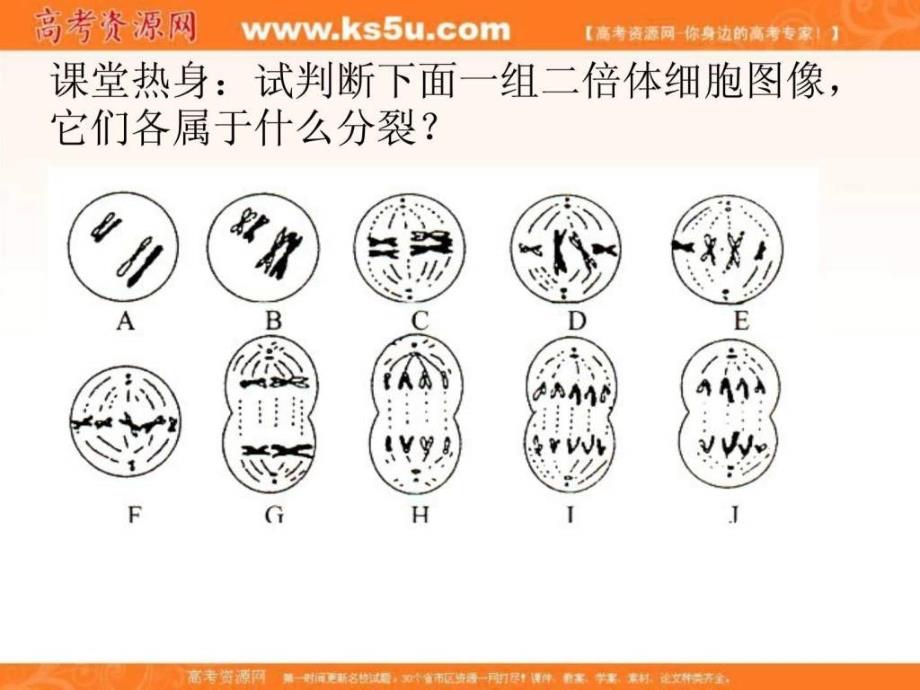 云南省新课标高考备考复习研讨会生物有丝分裂....ppt_第2页