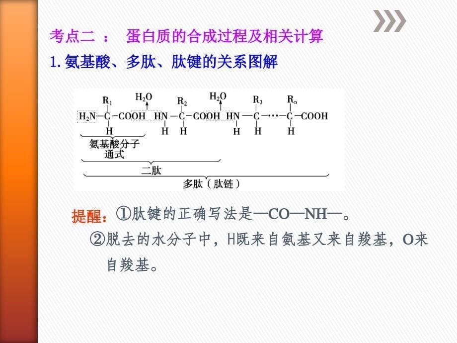 高中生物必修一易错题集——氨基酸与蛋白质_第5页