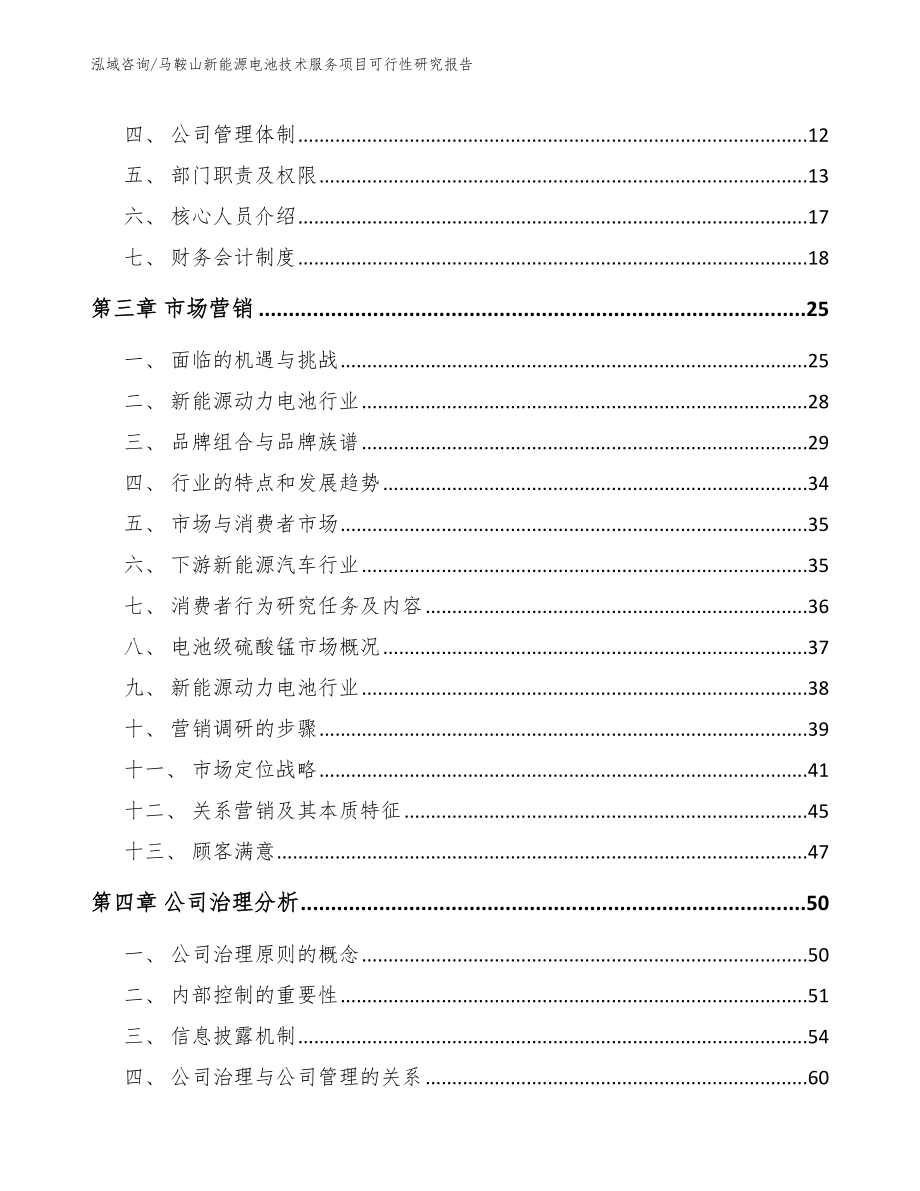 马鞍山新能源电池技术服务项目可行性研究报告（模板）_第3页