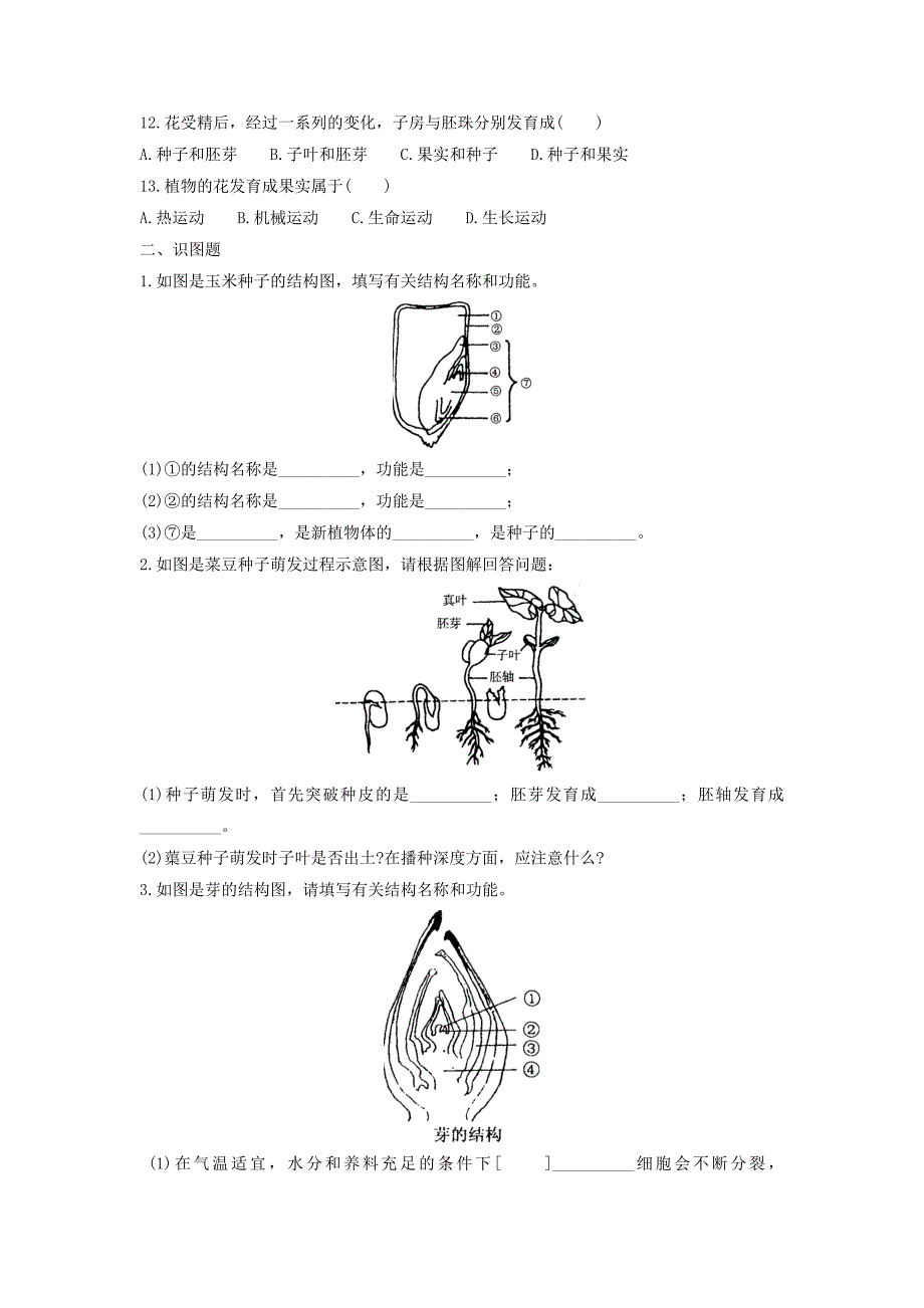 七年级科学下册第1章代代相传的生命第4节植物的一生作业设计新版浙教版_第2页