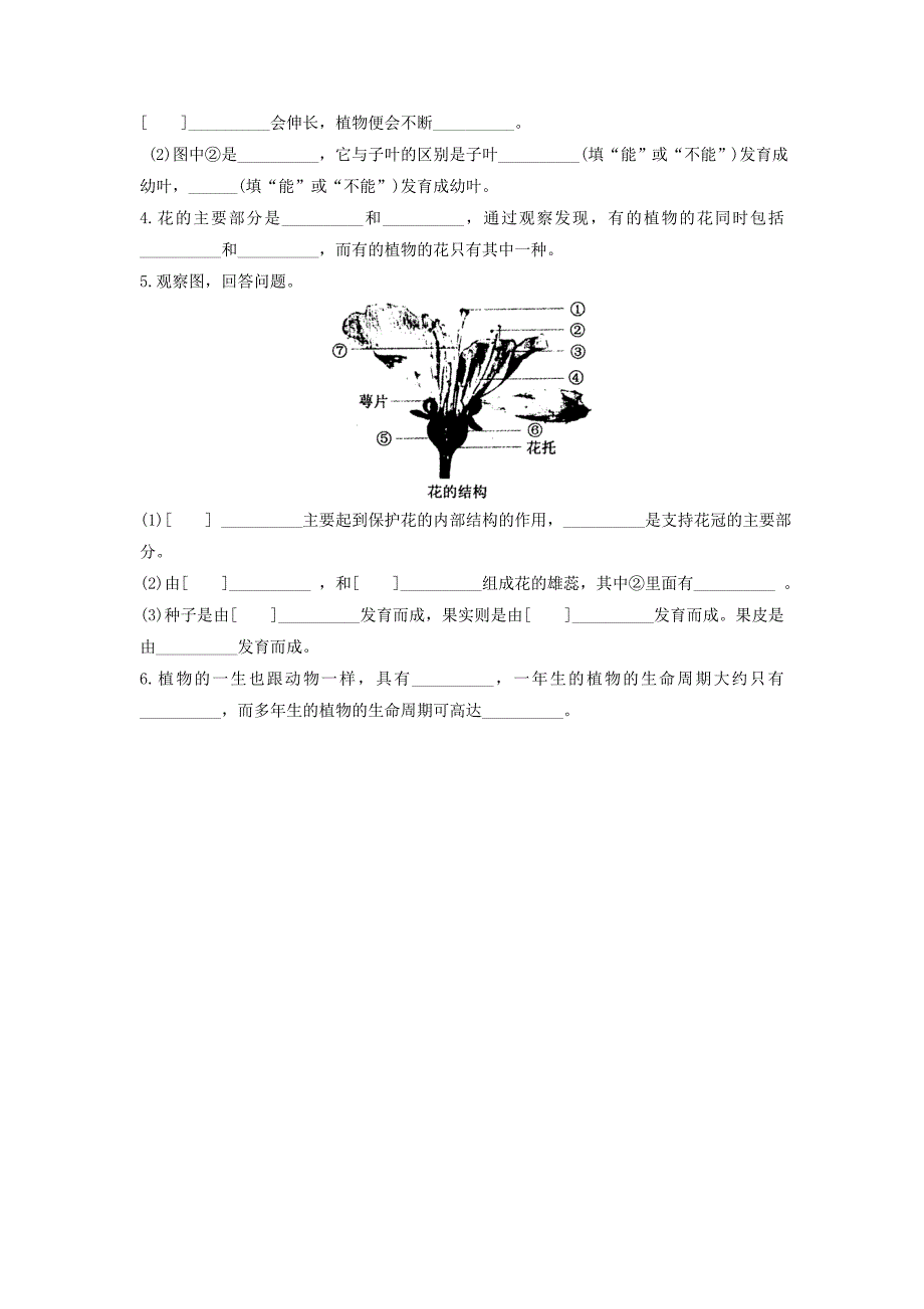 七年级科学下册第1章代代相传的生命第4节植物的一生作业设计新版浙教版_第3页