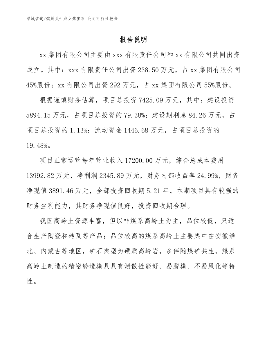滨州关于成立焦宝石 公司可行性报告_第2页