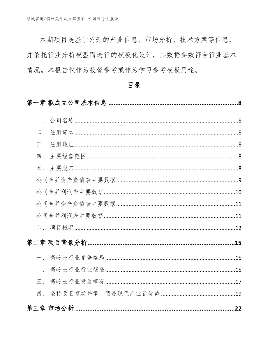 滨州关于成立焦宝石 公司可行性报告_第3页