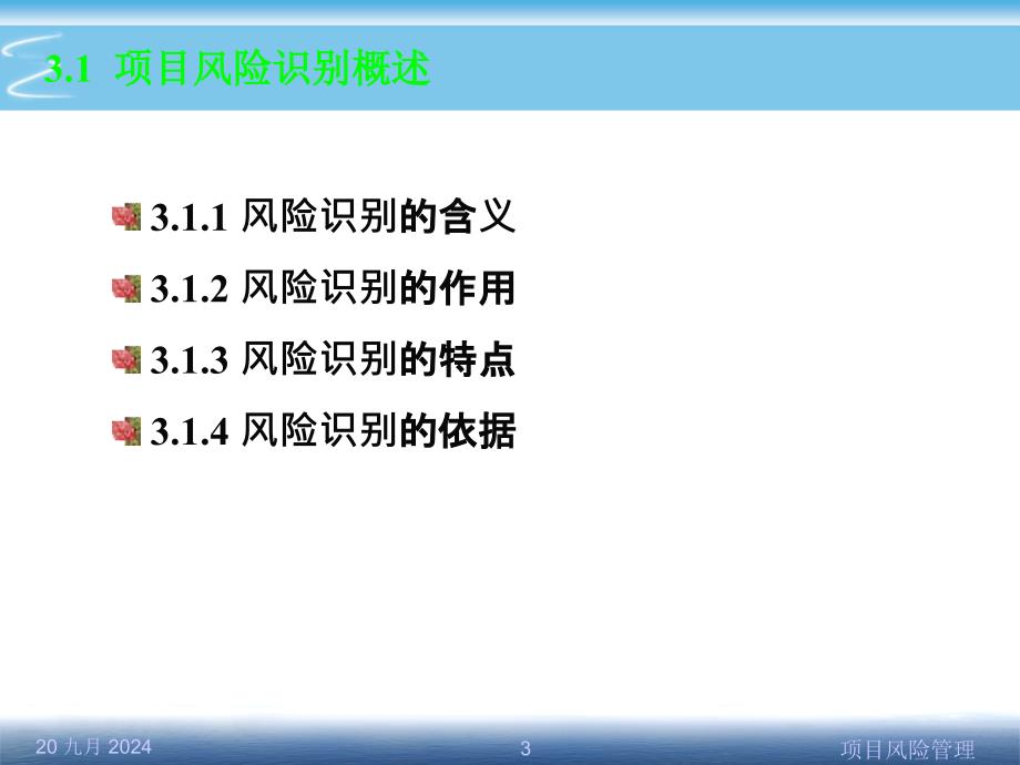 第3章-项目风险识别_第3页