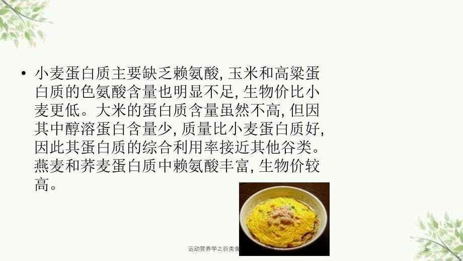 运动营养学之谷类食品的营养价值课件_第5页