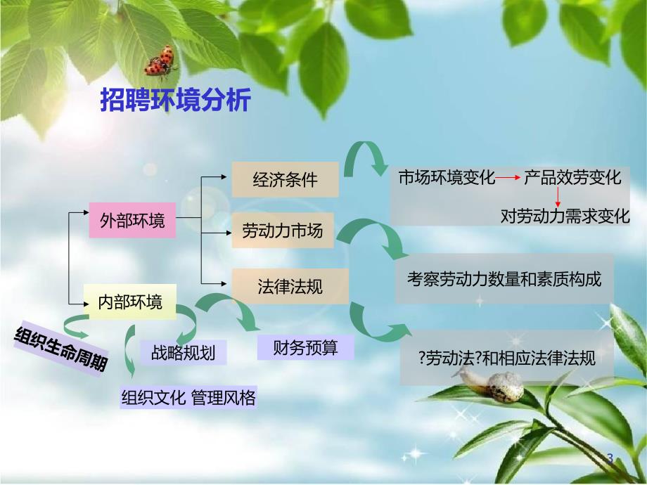 人力资源管理师培训讲座课件_第3页