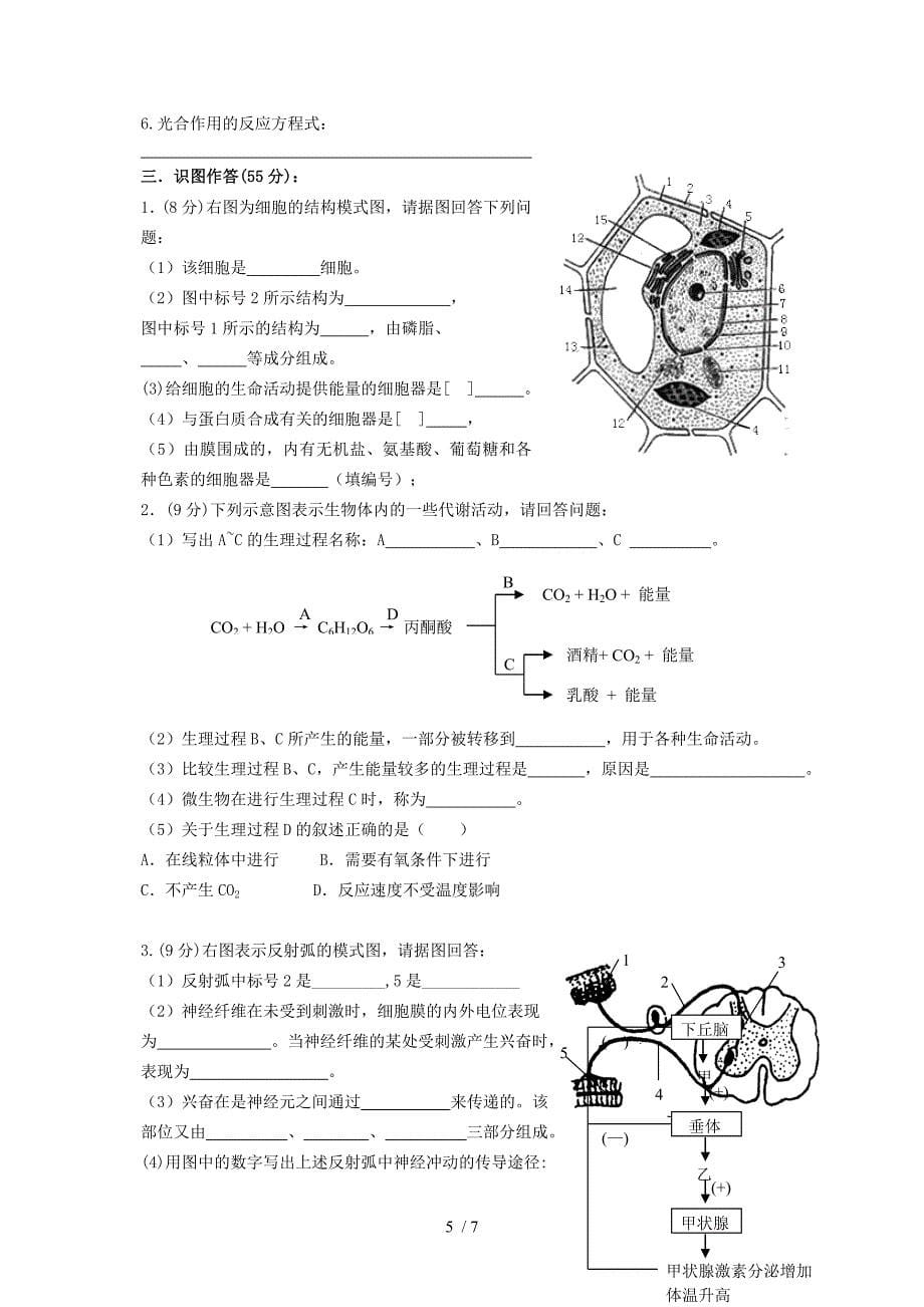 高二生命科学寒假作业_第5页