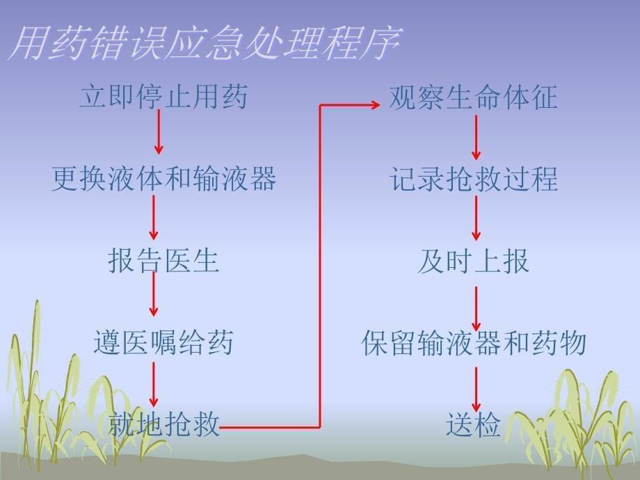 医学专题：用药错误的应急预案_第5页