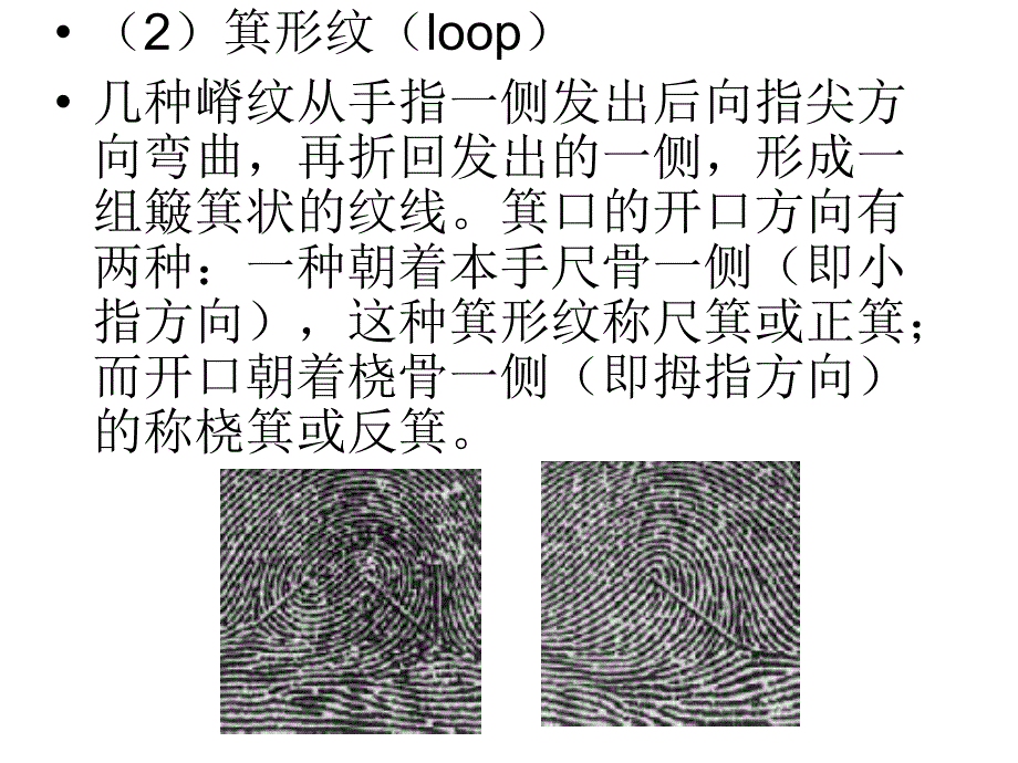 实验六人类指_第4页