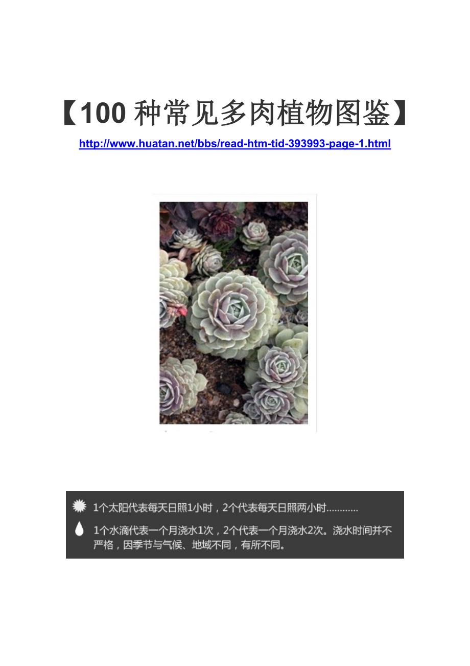 100种常见多肉植物图鉴作者二木本人整理_第1页