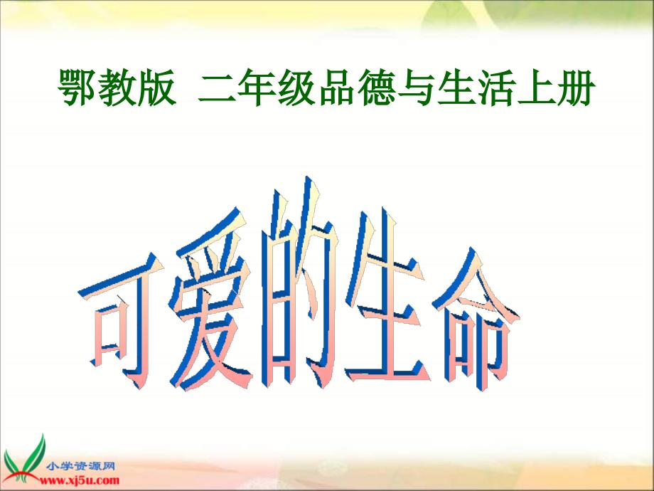 鄂教版品德与生活二年级上册《可爱的生命》_第1页