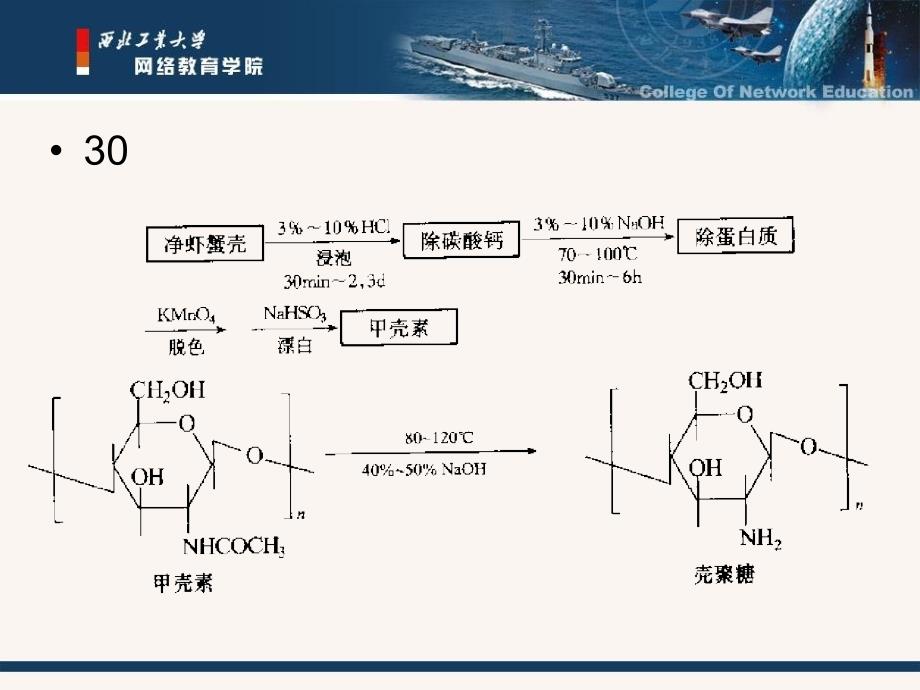 第二章天然高分子2_第4页