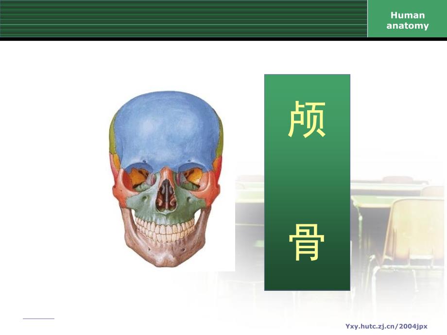 分离颅骨PPT课件_第3页