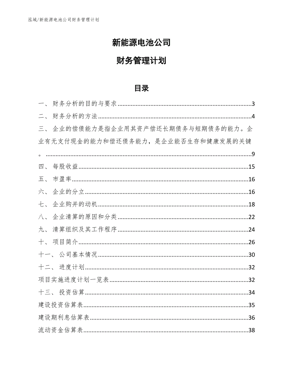 新能源电池公司财务管理计划_第1页