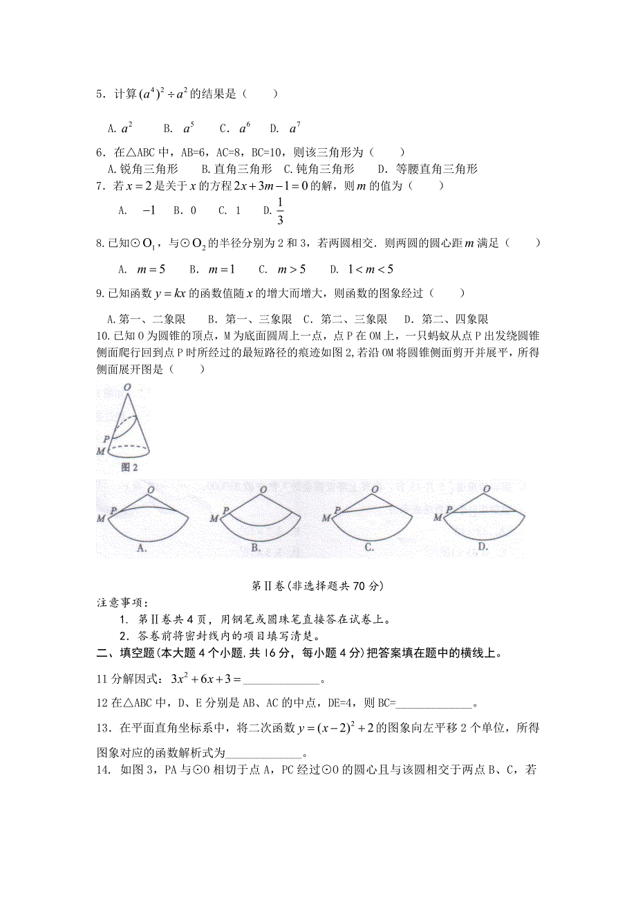 2010年泸州市初中毕业生学业考试数学试题及答案.doc_第2页