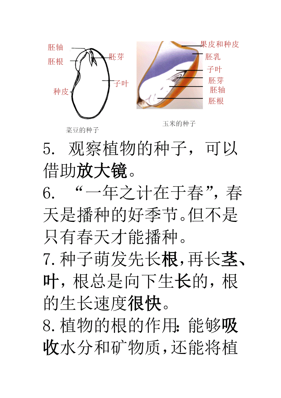 植物的生长变化知识点.doc_第2页