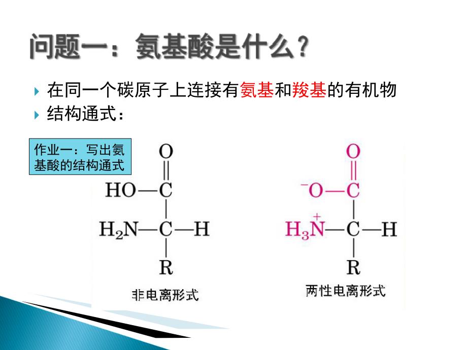 最新大专生物化学课件新氨基酸的性质和制备ppt课件_第2页