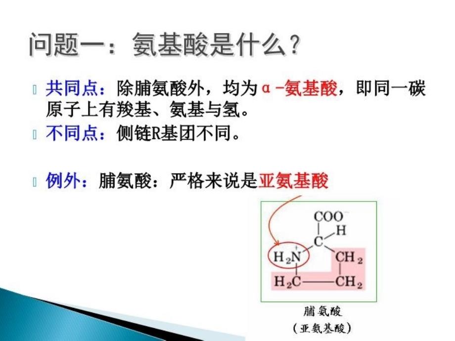 最新大专生物化学课件新氨基酸的性质和制备ppt课件_第3页