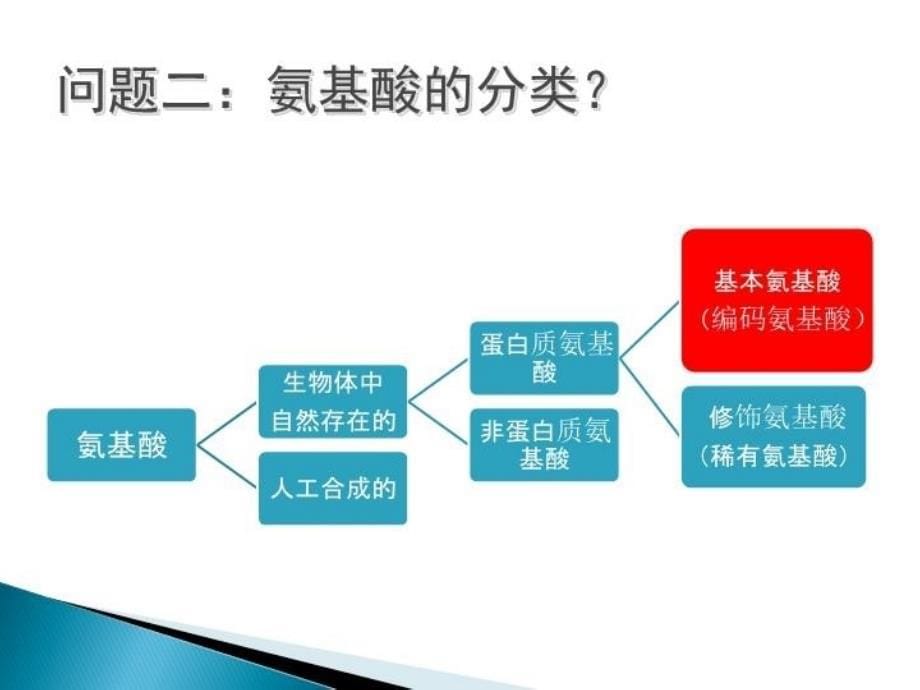 最新大专生物化学课件新氨基酸的性质和制备ppt课件_第5页