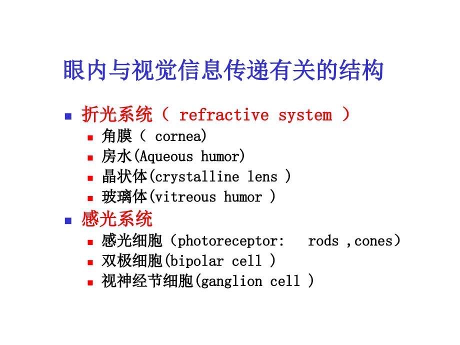 神经生物学 感觉系统-视觉_第5页