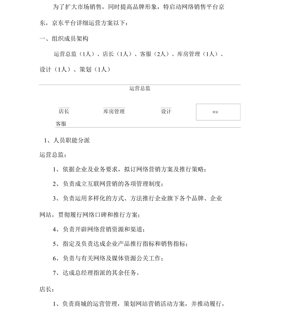 京东电商运营方案_第2页