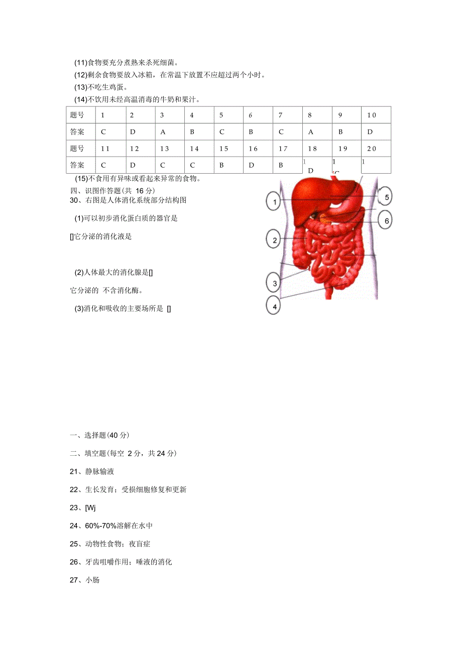 七年级生物人体的营养测试题_第4页