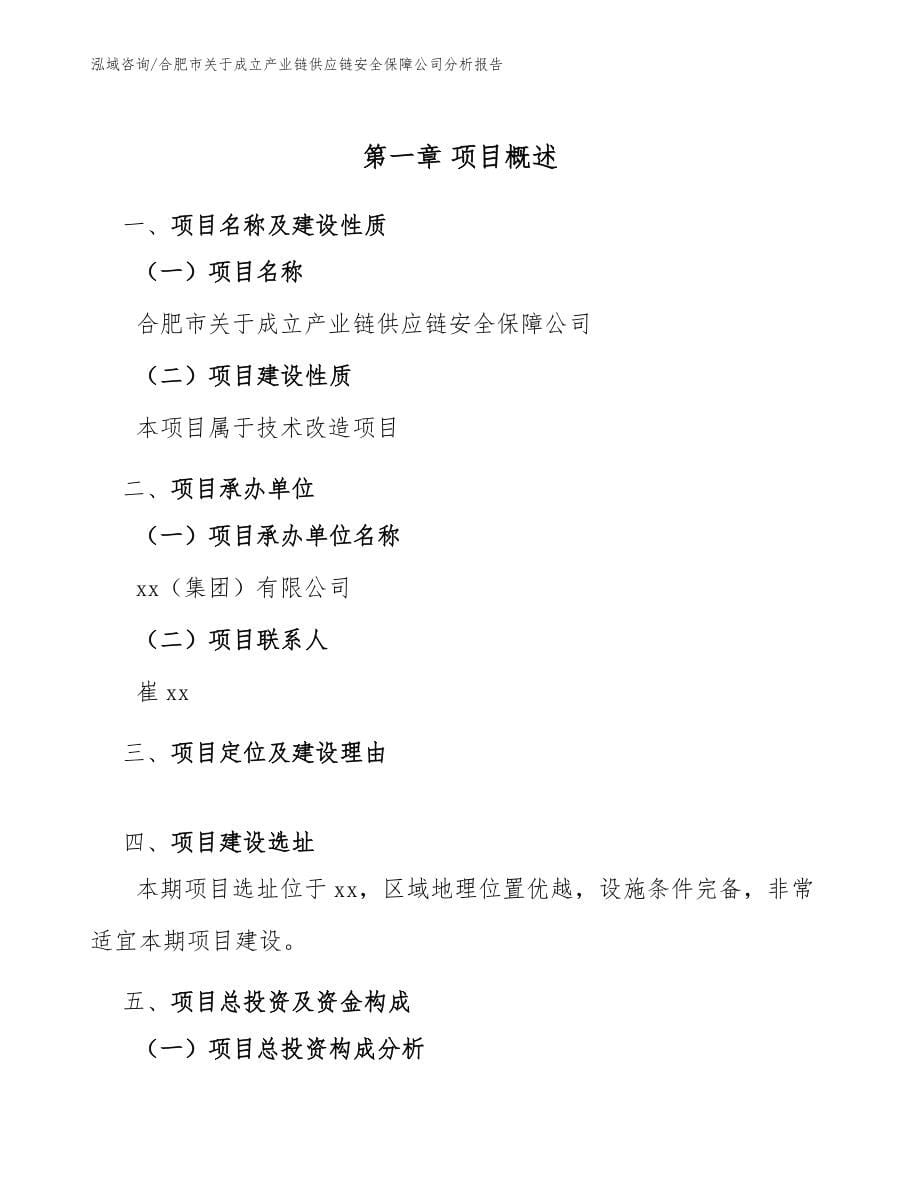 合肥市关于成立产业链供应链安全保障公司分析报告模板范文_第5页