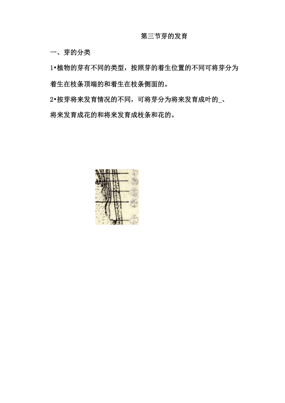 第一章种子的萌发和芽的发育_第2页