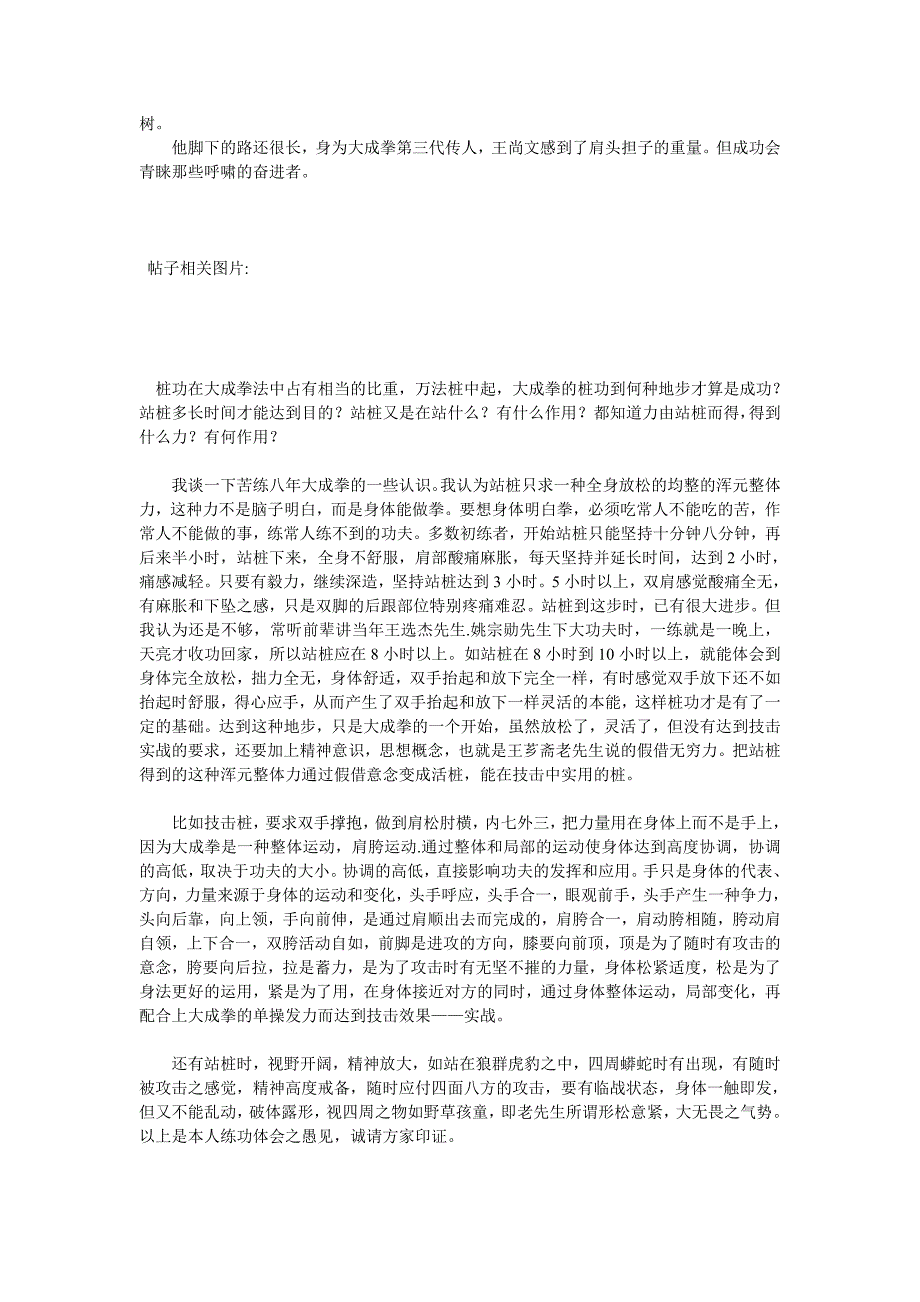 [大成拳] 王尚文大成拳.doc_第2页