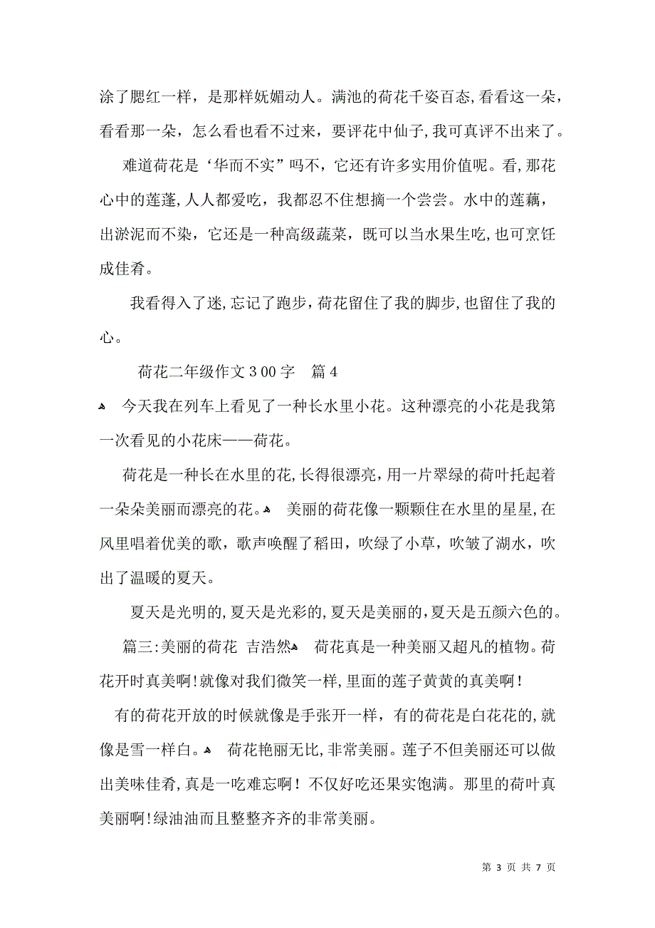 荷花二年级作文300字九篇_第3页