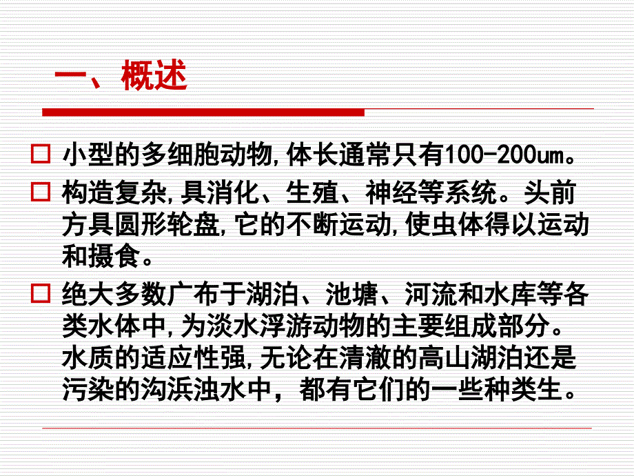 教学课件第三章轮虫动物门_第2页