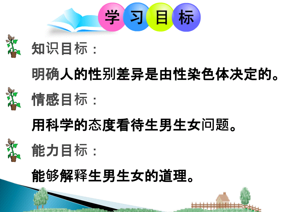 24人的性别遗传课件4（人教版八年级下）_第3页