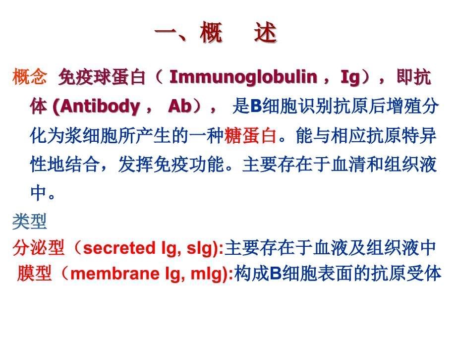 微免免疫球蛋白2h微生物与免疫学.ppt_第5页