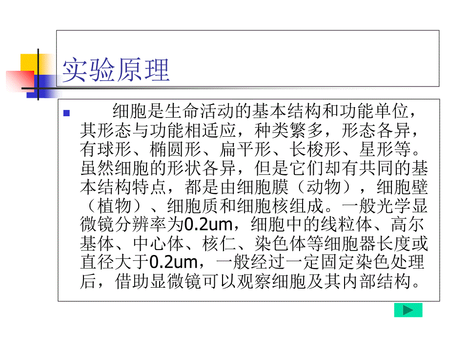 实验一细胞的形态观察和大小测量_第3页