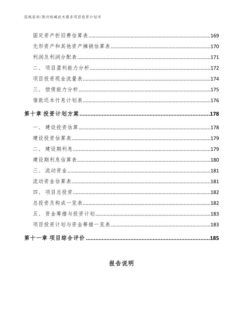 荆州纯碱技术服务项目投资计划书（模板范本）_第4页