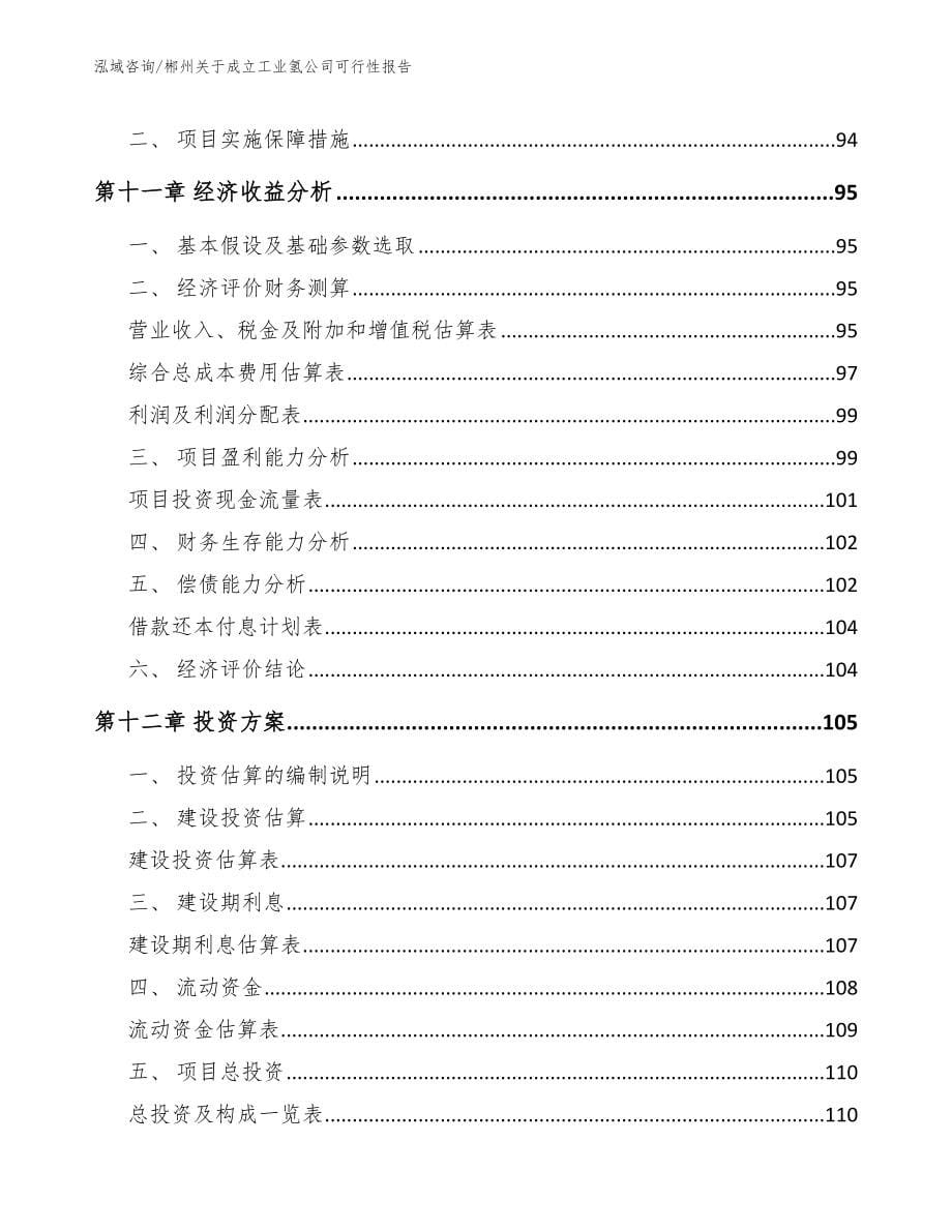 郴州关于成立工业氢公司可行性报告【模板范本】_第5页