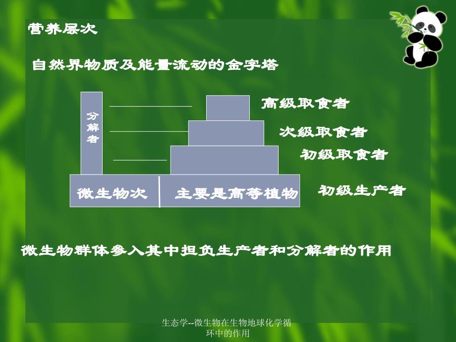 生态学--微生物在生物地球化学循环中的作用课件_第4页