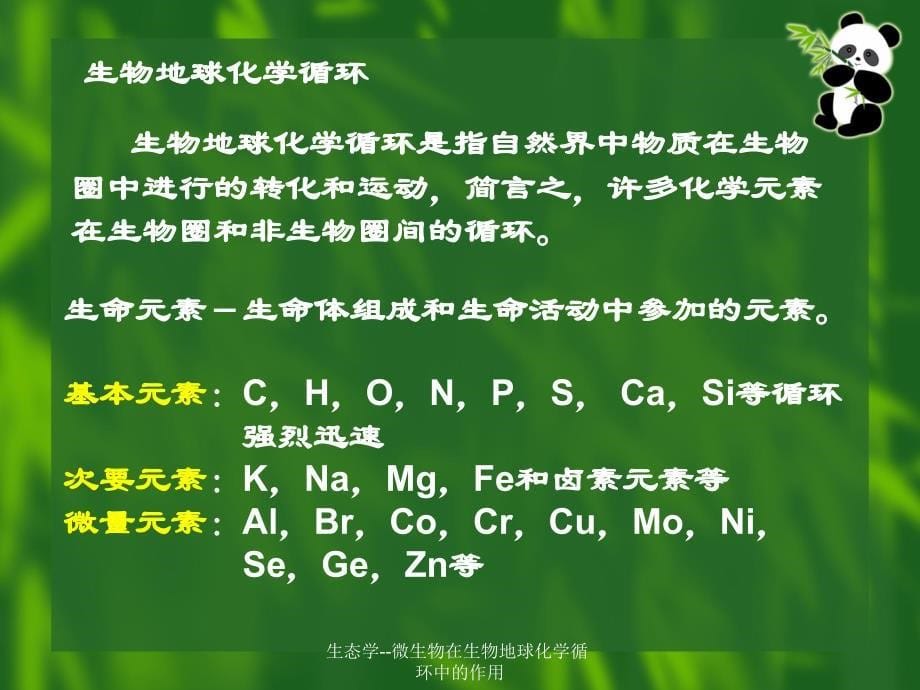 生态学--微生物在生物地球化学循环中的作用课件_第5页