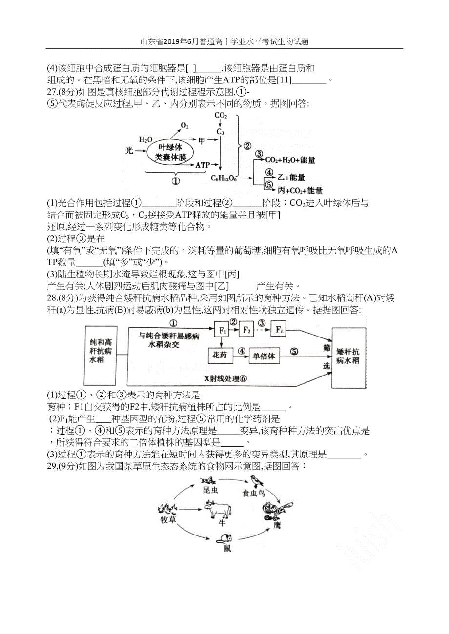 山东省2019年6月普通高中学业水平考试生物试题(DOC 8页)_第5页