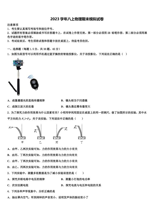 2023学年广东省深圳市育才第二中学物理八上期末经典模拟试题含解析.doc