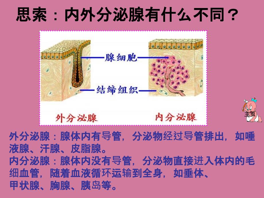 生物激素调节3ppt课件_第3页