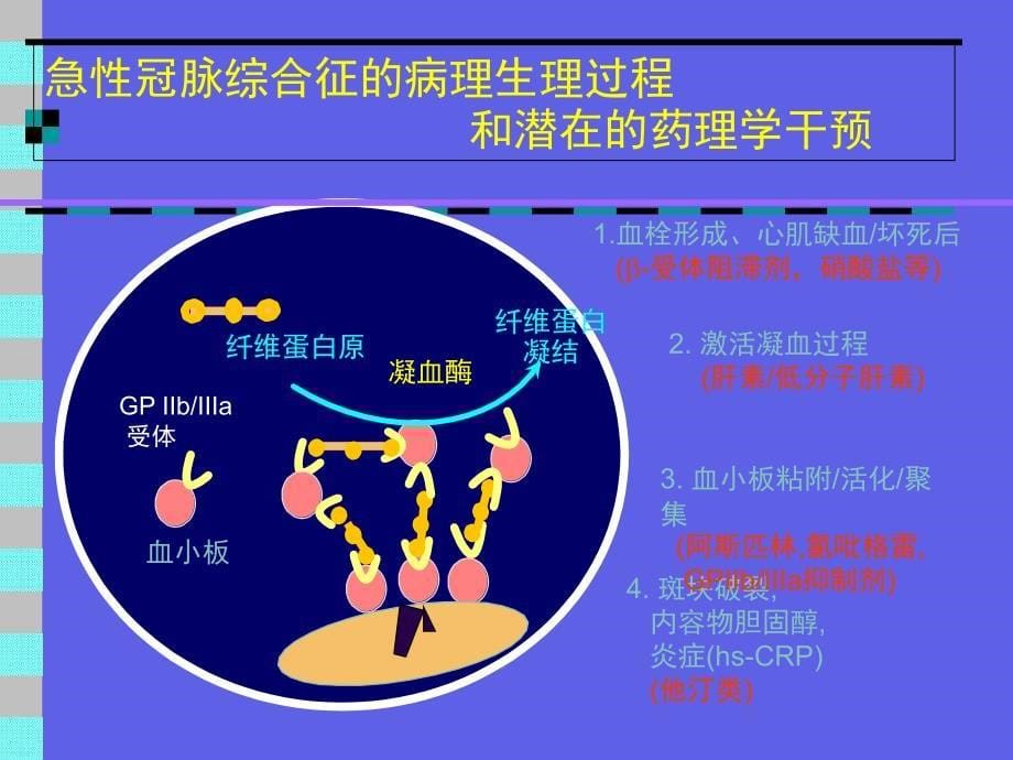 冠状动脉粥样硬化性心脏病CHD课件_第5页