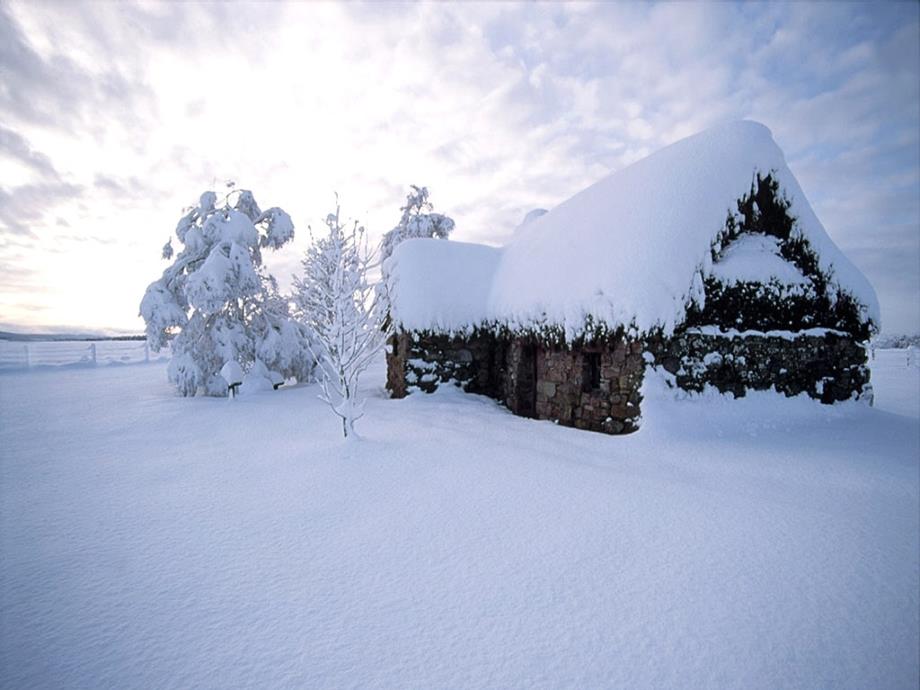 人教新课标版小学一上《雪地里的小画家》课件6_第2页