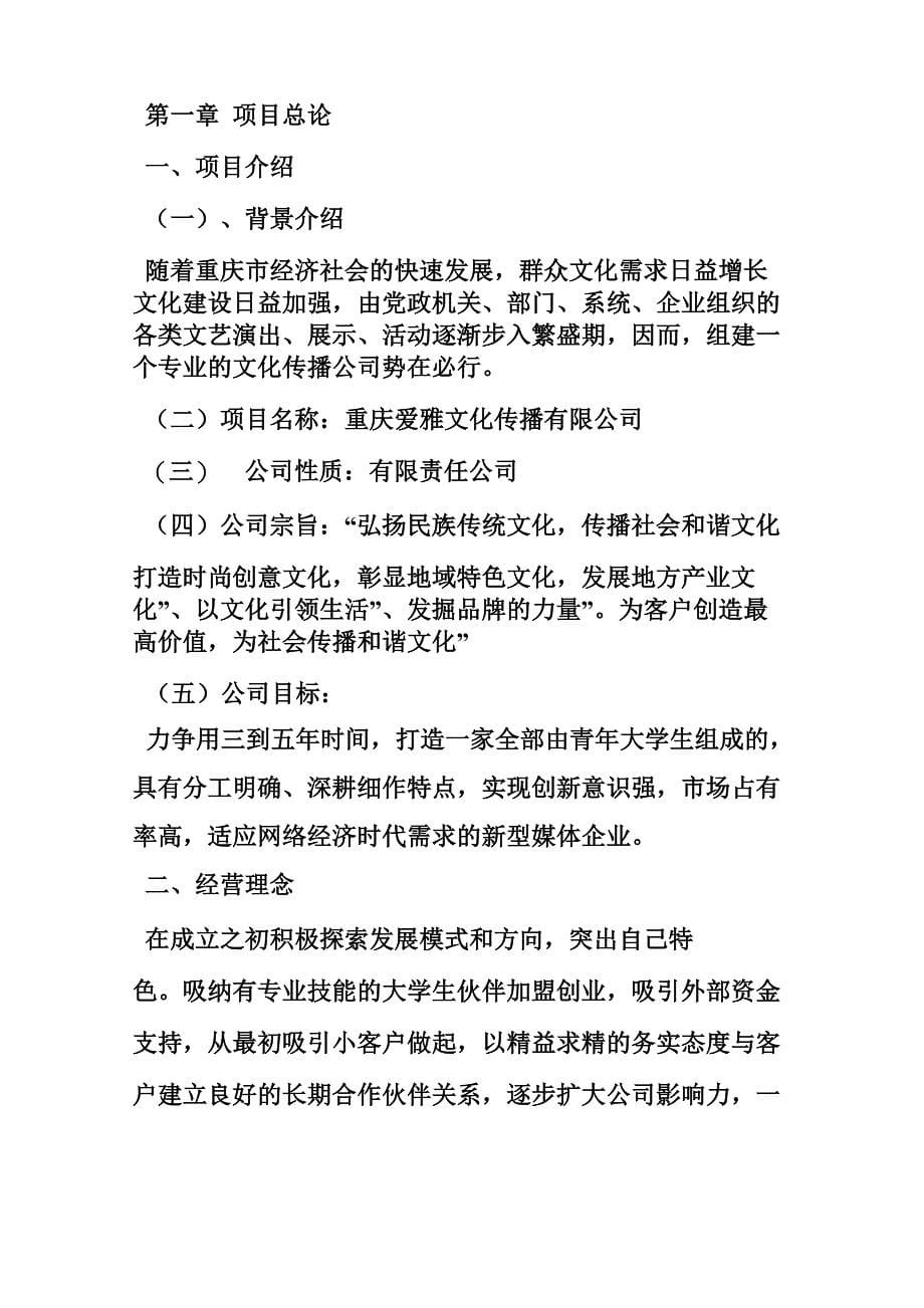 文化传播公司创业计划书_第5页