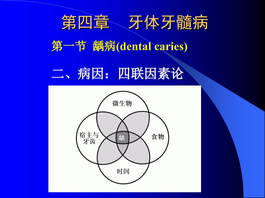 《牙体牙髓病》PPT课件_第3页