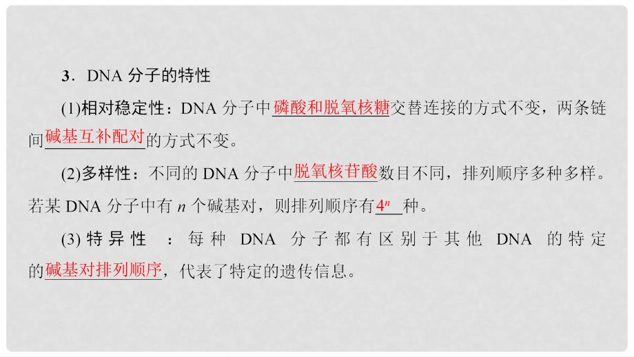 高三生物一轮复习 第6单元 第2讲 DNA分子的结构复制与基因的本质课件 新人教版必修2_第4页