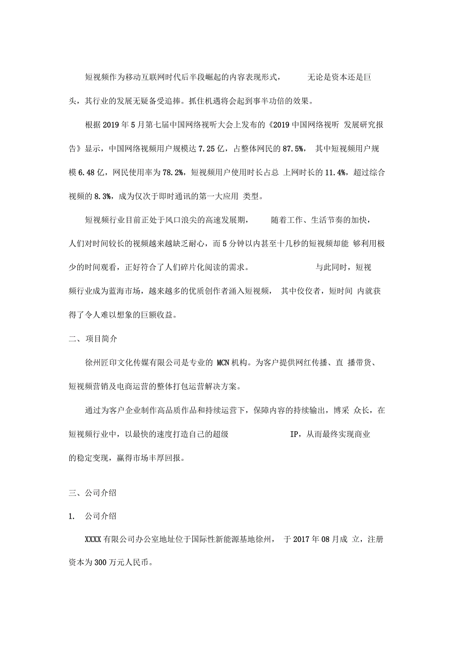 短视频及电商运营项目融资商业计划书_第4页