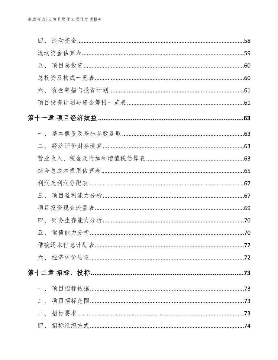 大方县煤化工项目立项报告_第5页